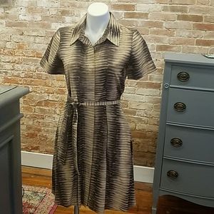 Collared Button-Front Dress